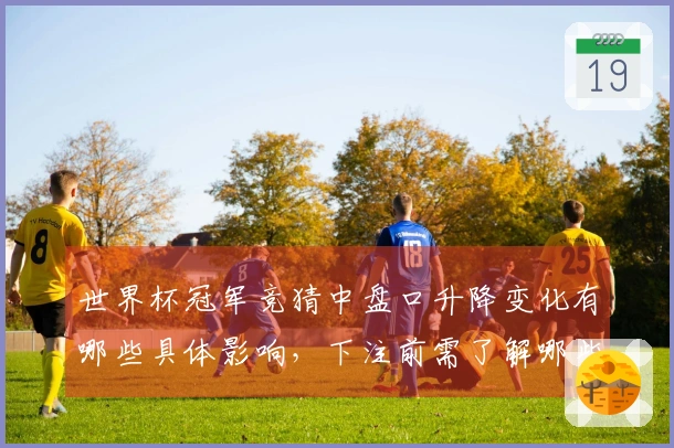 世界杯冠军竞猜中盘口升降变化有哪些具体影响，下注前需了解哪些事项