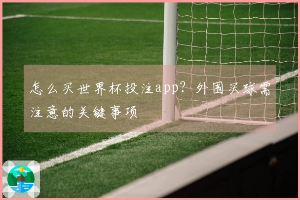 怎么买世界杯投注app？外围买球需注意的关键事项
