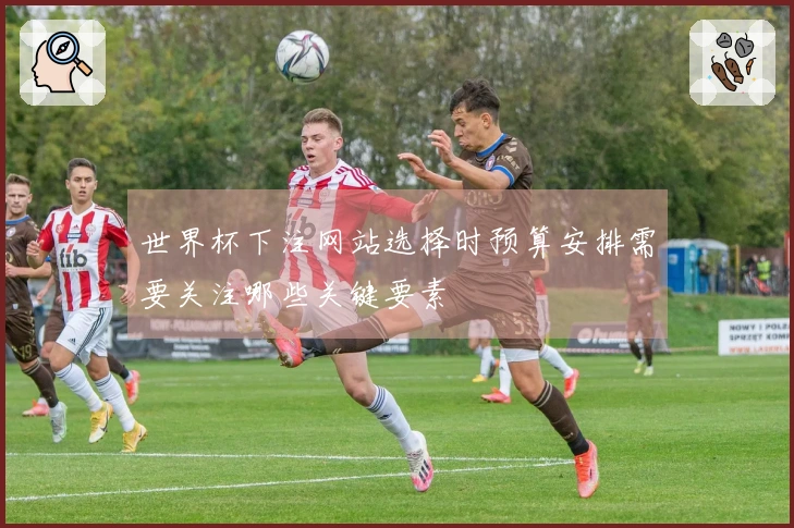 世界杯下注网站选择时预算安排需要关注哪些关键要素
