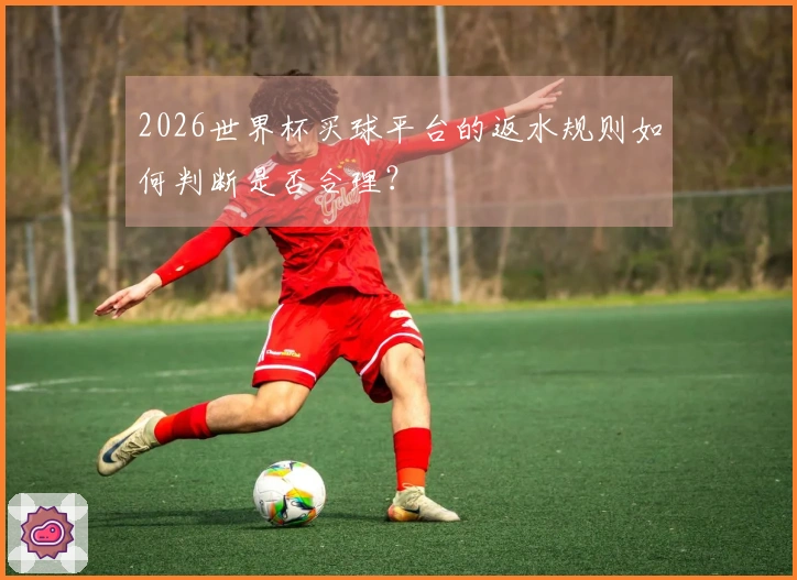 2026世界杯买球平台的返水规则如何判断是否合理？