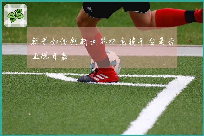 新手如何判断世界杯竞猜平台是否正规可靠