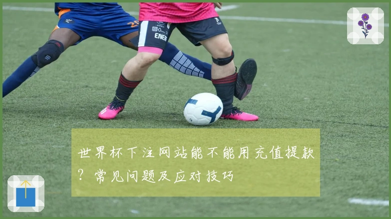 世界杯下注网站能不能用充值提款？常见问题及应对技巧
