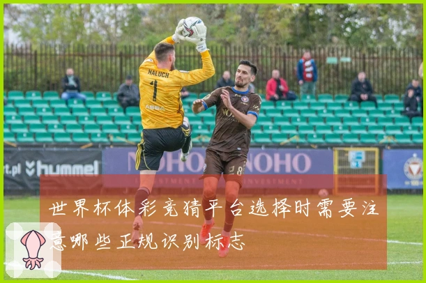 世界杯体彩竞猜平台选择时需要注意哪些正规识别标志