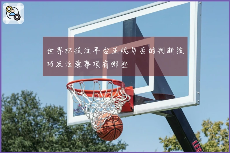 世界杯投注平台正规与否的判断技巧及注意事项有哪些