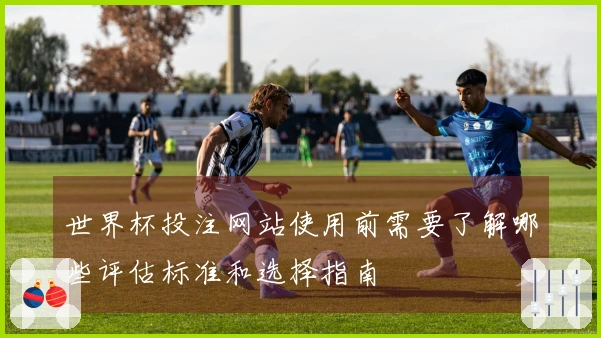世界杯投注网站使用前需要了解哪些评估标准和选择指南