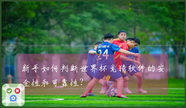 新手如何判断世界杯竞猜软件的安全性和可靠性？