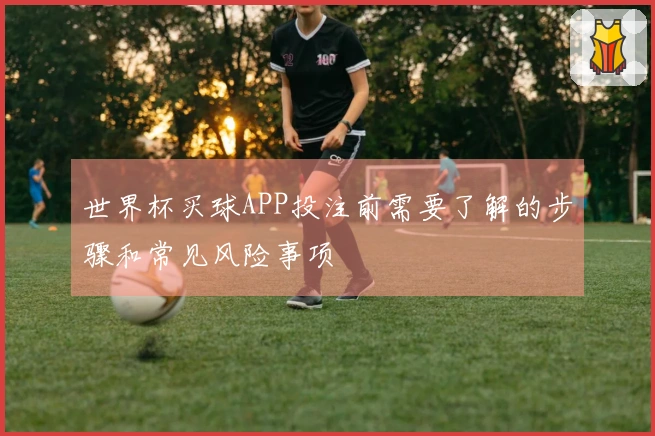 世界杯买球APP投注前需要了解的步骤和常见风险事项