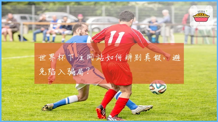 世界杯下注网站如何辨别真假，避免陷入骗局？