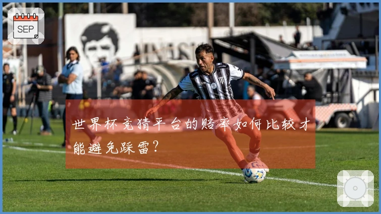 世界杯竞猜平台的赔率如何比较才能避免踩雷？