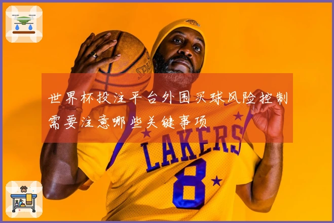 世界杯投注平台外围买球风险控制需要注意哪些关键事项