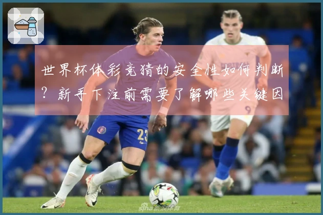世界杯体彩竞猜的安全性如何判断？新手下注前需要了解哪些关键因素？