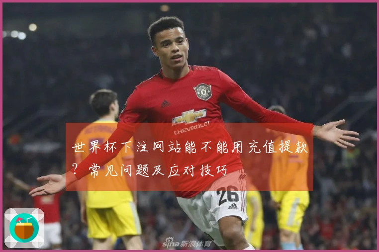 世界杯下注网站能不能用充值提款？常见问题及应对技巧