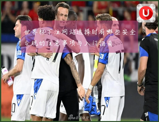 世界杯下注网站选择时有哪些安全合规的注意事项与入门指南
