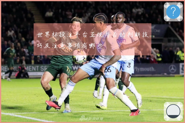 世界杯投注平台正规与否的判断技巧及注意事项有哪些