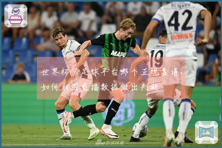 世界杯买足球平台哪个正规靠谱，如何利用直播数据做出判断
