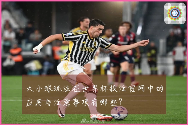 大小球玩法在世界杯投注官网中的应用与注意事项有哪些？