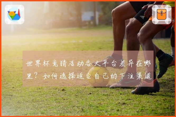 世界杯竞猜活动各大平台差异在哪里？如何选择适合自己的下注渠道？