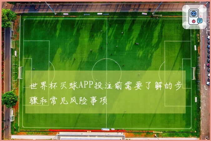 世界杯买球APP投注前需要了解的步骤和常见风险事项