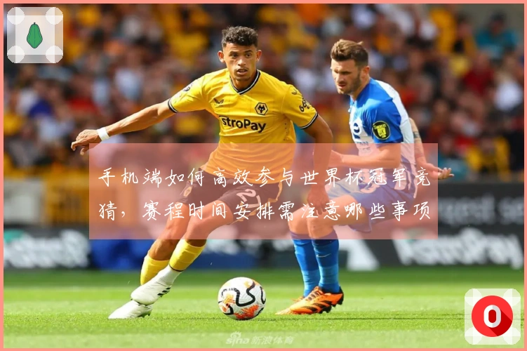 手机端如何高效参与世界杯冠军竞猜，赛程时间安排需注意哪些事项？