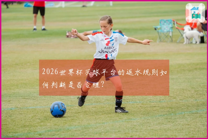 2026世界杯买球平台的返水规则如何判断是否合理？