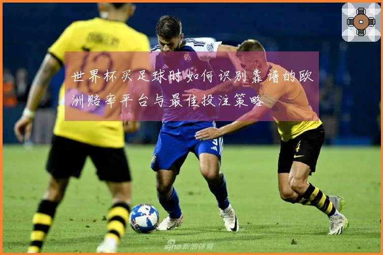 世界杯买足球时如何识别靠谱的欧洲赔率平台与最佳投注策略