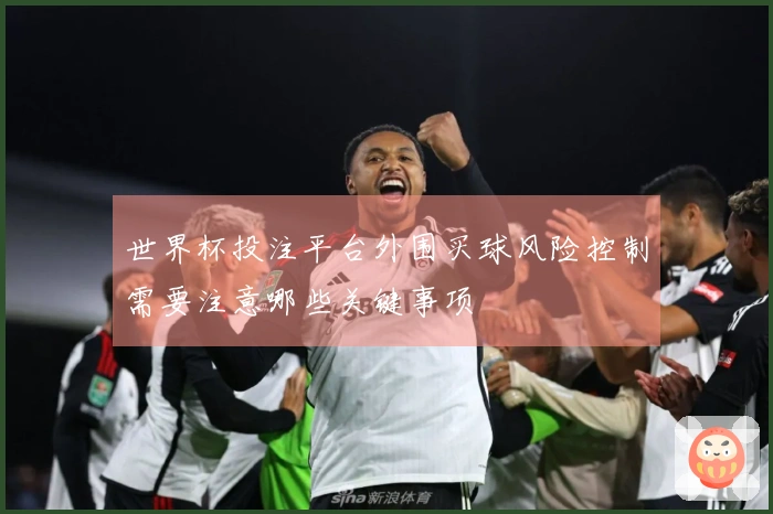世界杯投注平台外围买球风险控制需要注意哪些关键事项