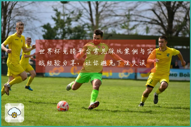 世界杯竞猜平台常见踩坑案例与实战经验分享，让你避免下注失误