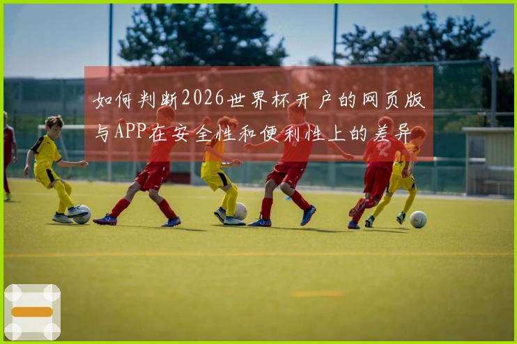 如何判断2026世界杯开户的网页版与APP在安全性和便利性上的差异